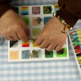 DIY Flower Press Kit with Natural Dried Flowers