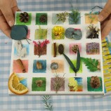 DIY Pressed Dried Flowers Kit for Collection & Painting