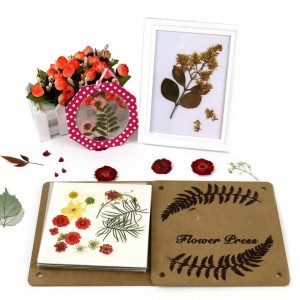 Wooden Flower Press Kit - Educational DIY Supplies for Kids